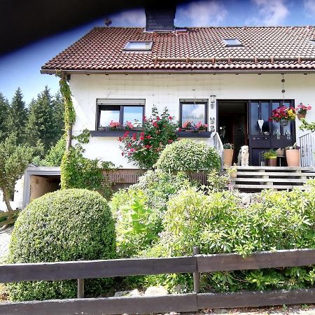 Ferienwohnung Anemone Mit Bergblick Braunlage Eksteriør billede