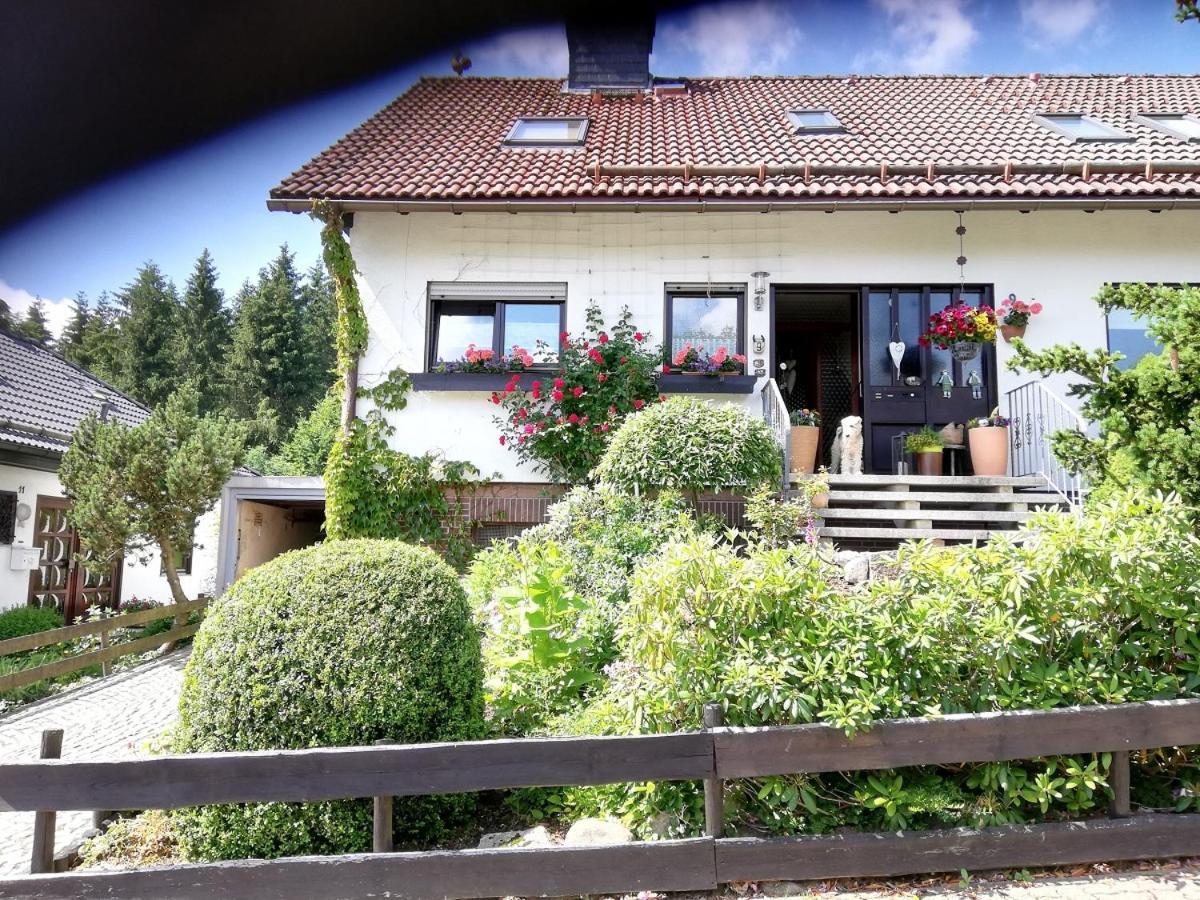 Ferienwohnung Anemone Mit Bergblick Braunlage Eksteriør billede